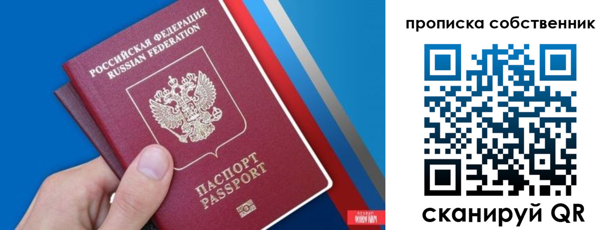прописка в квартире в Курчатове